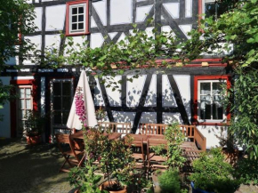 Nice apartment in Weilmünster